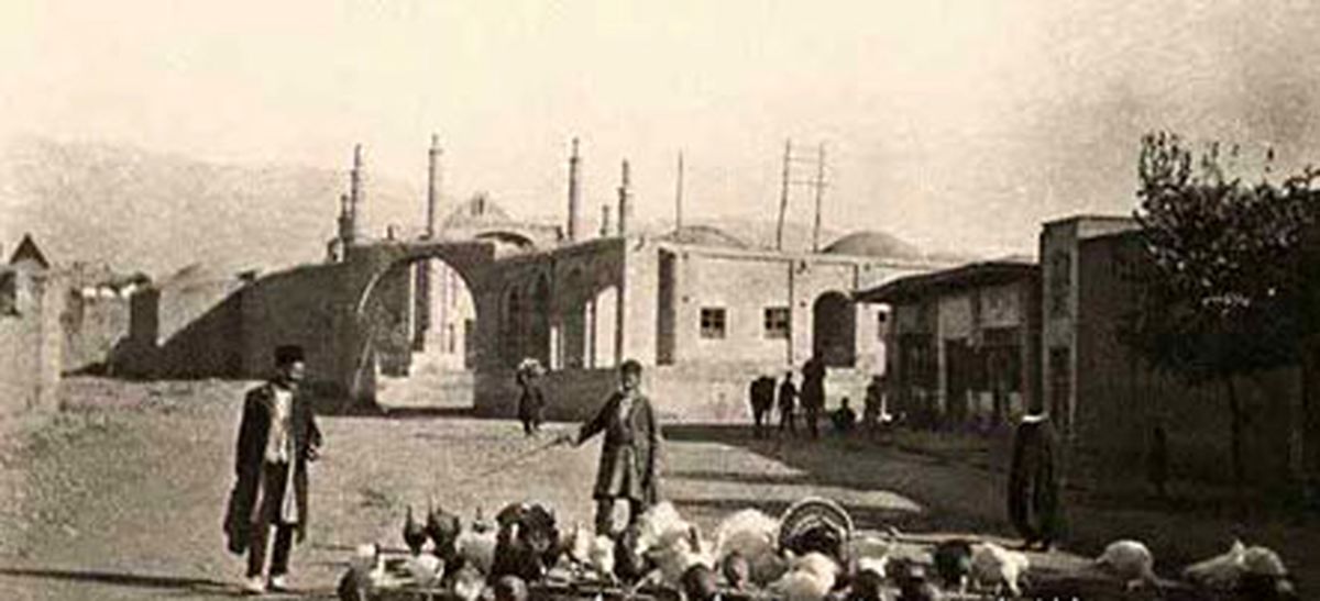 بوقلمون‌ چرانی در خیابان های تهران