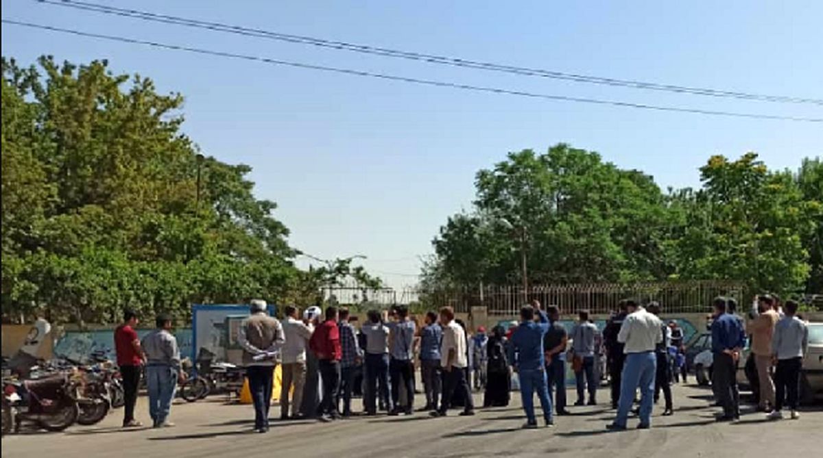 قتل عام ۱۰۰۰ درخت در مشهد