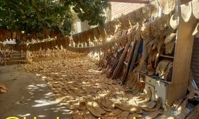 احتکار عجیب ۵ هزار نان در حیاط یک خانه!
