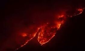  جنگل هیرکانی در آتش می‌سوزد/ ویدئو