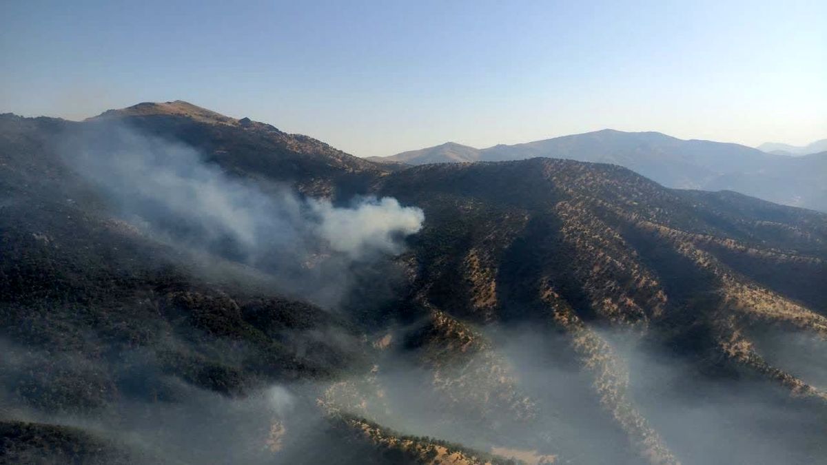 پارک ملی سالوک خراسان‌ شمالی دچار آتش‌ سوزی شد

