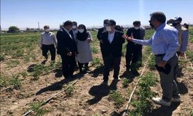 سفیر ژاپن در تهران: مدیریت منابع آب در ایران معضل جدی است