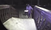 فرار یک کیک در یکی از ایالت‌های آمریکا/ ویدئو 
