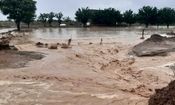 نمایی از خسارت سیل اخیر به کشاورزان هرمزگانی/ ویدئو